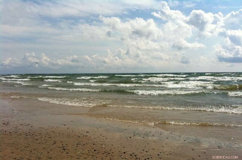 Effective Reservoir Management Can Thwart Toxic Algal Blooms