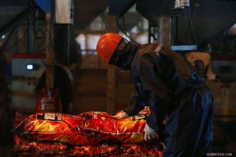 Mongolia s New Cleaner Fuel Linked to Fatalities and Health Risks