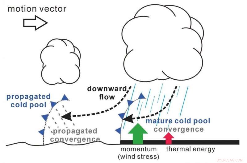 Steep Momentum Gradients Drive Coastal Precipitation