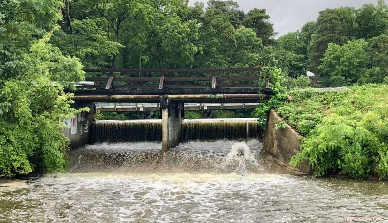 Dead-Zone Report Card Signals Chesapeake Bay Water Quality Gains