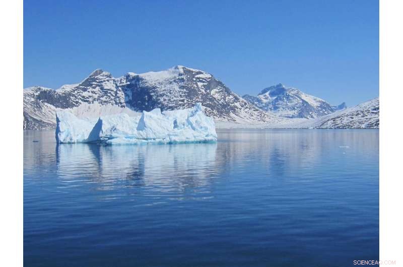 Icebergs: Powerful Natural Nutrient Sources for Marine Ecosystems