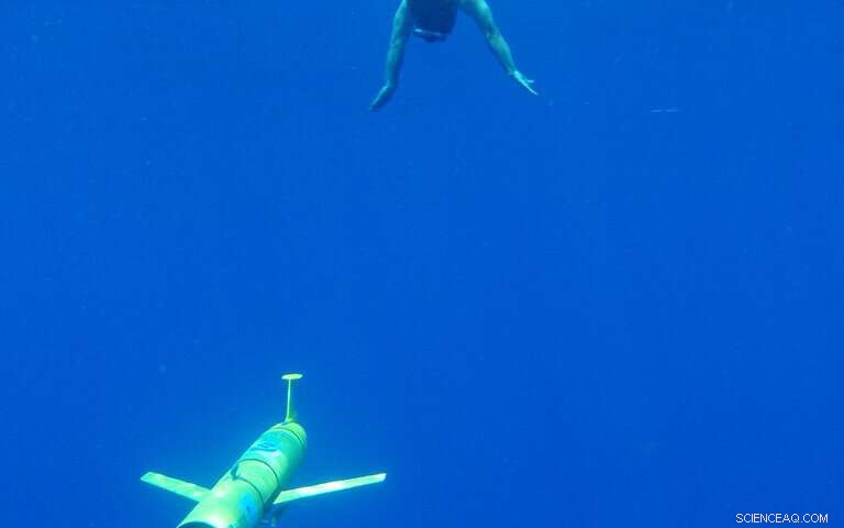 Robotic Gliders Revolutionize Ocean Sound Monitoring