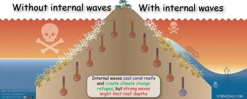 Internal Waves Reduce Coral Bleaching: New Study Reveals Cooling Mechanisms