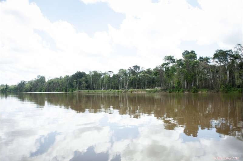Amazon River Black Carbon Traces Recent Forest Fires