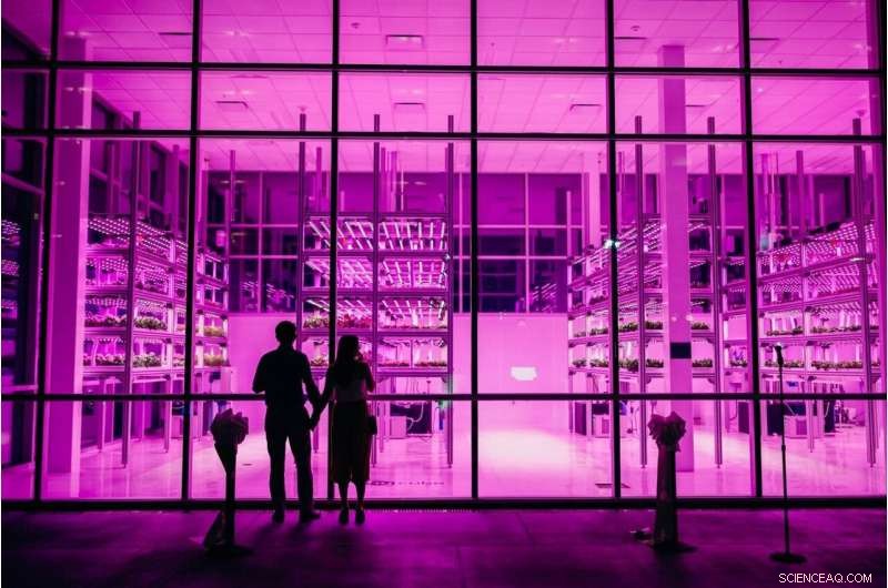 How Controlled‑Environment Agriculture Can End Food Shortages