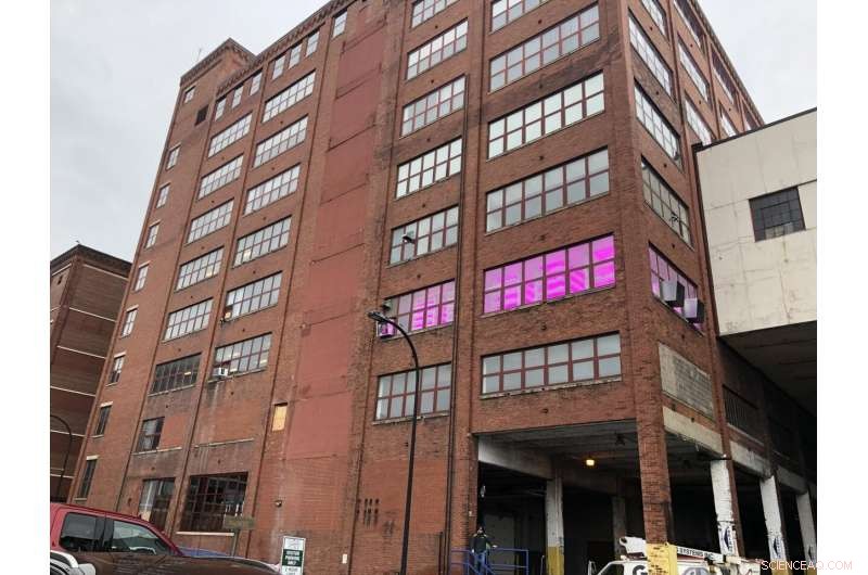 How Controlled‑Environment Agriculture Can End Food Shortages