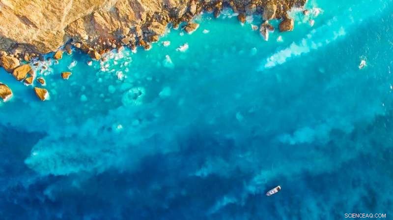 Surviving Extreme Oceanic Hot Springs: Life at Kueishantao s Acidic Waters