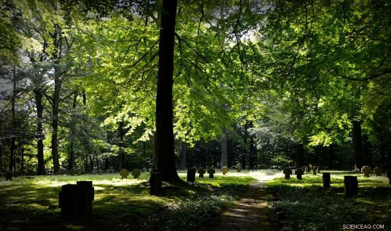 Green Burials Rise, Yet Cemetery Laws Lag Behind