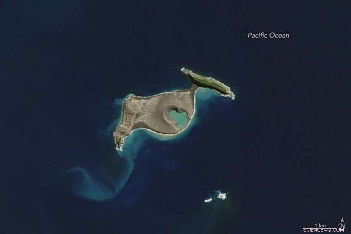 Pacific Newborn Island Stands Strong After Five Years of Eruption