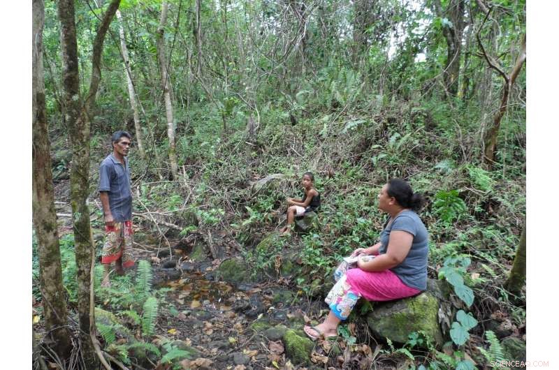 Samoa s Climate Resilience Offers New Insights, Challenging Western Views