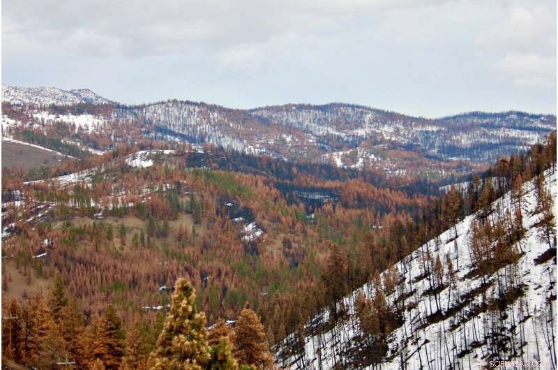 New Study Shows Oregon’s Blue Mountains Wildfires Will Rise in Frequency & Severity Amid Climate Change