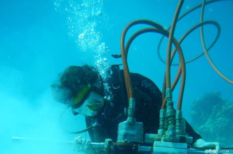 New Evidence Reveals Intensifying El Niño in the Industrial Age