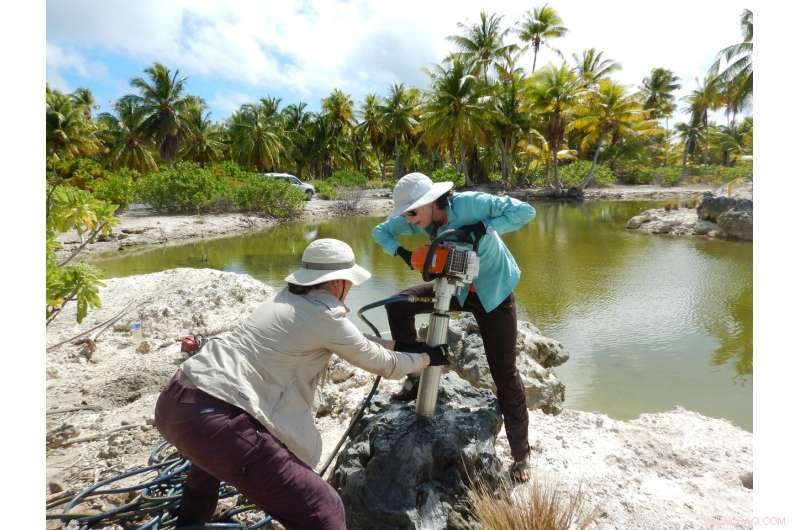 New Evidence Reveals Intensifying El Niño in the Industrial Age