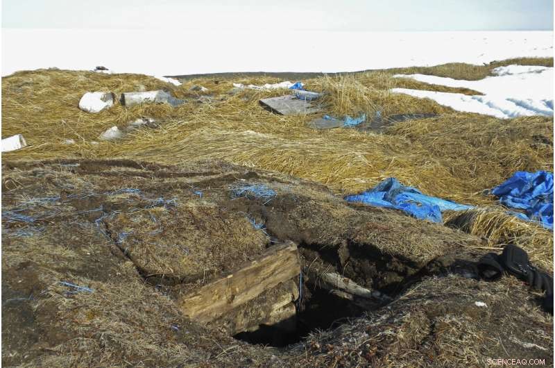 Declining Ice Cellars Reveal Shifts in Alaska’s Traditional Whaling Communities