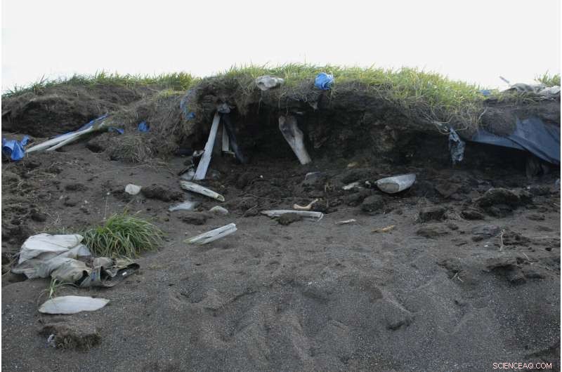 Declining Ice Cellars Reveal Shifts in Alaska’s Traditional Whaling Communities