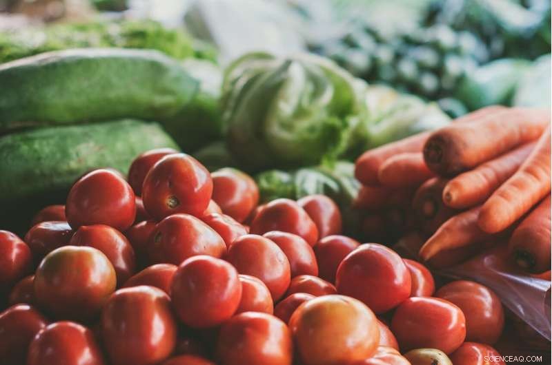 How National Dietary Guidelines Boost Nutrition, Protect the Environment, and Support Animal Welfare