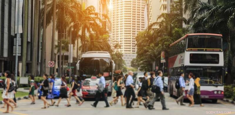 Urban Innovation: Transforming Transit to Cut Emissions