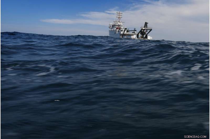 Protecting Our Oceans: How Marine Sanctuaries Safeguard Coastal Ecosystems