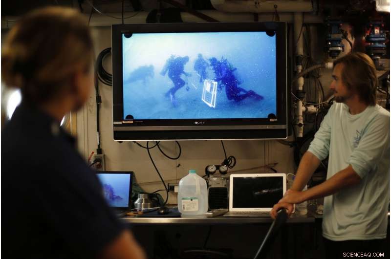 Protecting Our Oceans: How Marine Sanctuaries Safeguard Coastal Ecosystems