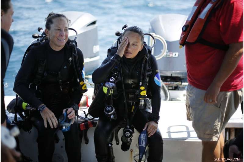 Protecting Our Oceans: How Marine Sanctuaries Safeguard Coastal Ecosystems