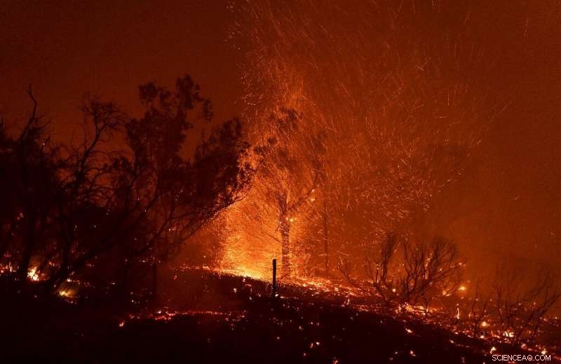 California Firefighters Contain Rapidly Spreading Brushfire Near Santa Barbara