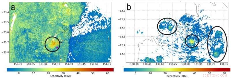 Tracking the Elusive Magpie Goose with Weather Radar