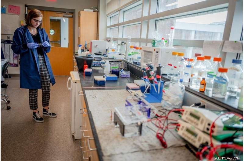 Harnessing Natural Solutions to Address Man-Made Pollution