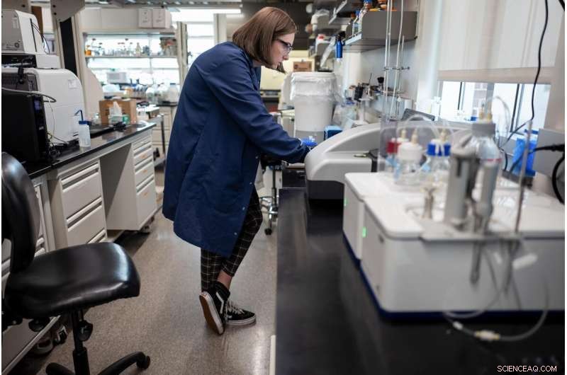 Harnessing Natural Solutions to Address Man-Made Pollution