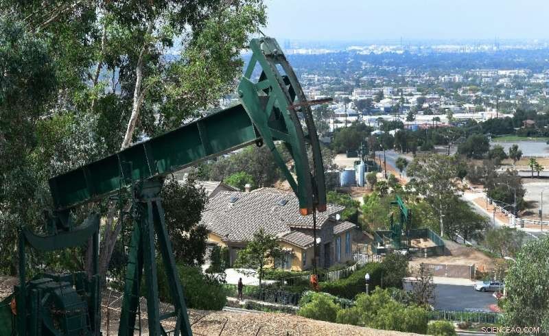 Los Angeles Revealed: Hollywood, Palm Trees, and Hidden Urban Oil Fields