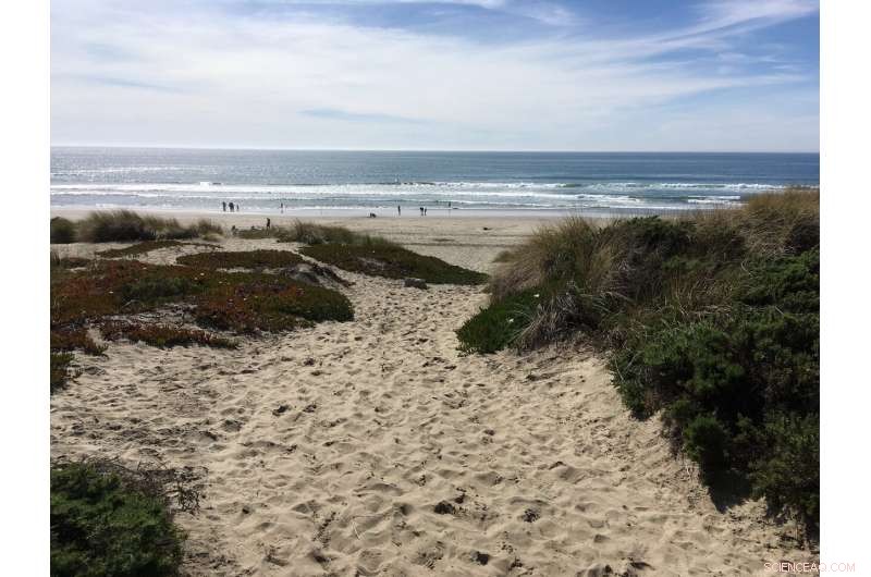 Transforming Undersea Telecom Cables into Advanced Seismic Monitoring