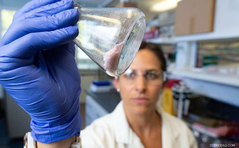 New Enzyme Breakthrough Enables Safe Recycling of Polyester-Wool Blends