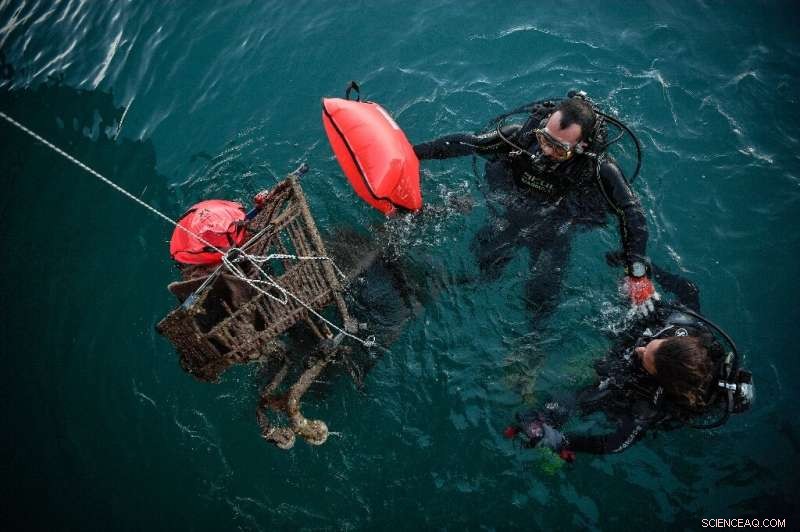 Aegean Volunteers Lead the Fight Against Plastic Waste