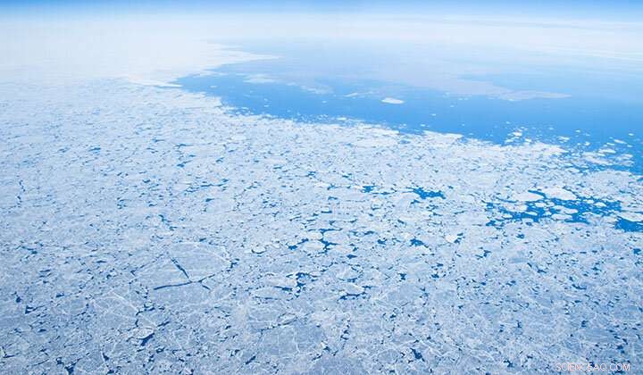 UEA Leads Global Initiative to Sequence Arctic Ocean Microbial DNA