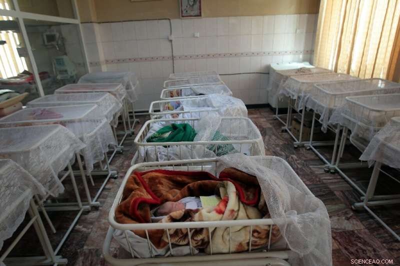 Study Links Rising Temperatures to Increased Early Births