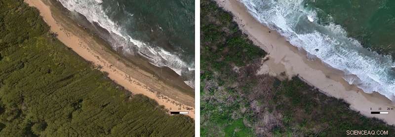 Scientists Urgently Document Puerto Rico s Coastal Heritage Amid Post‑Hurricane Recovery