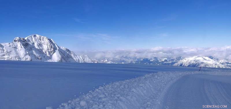 New Study Reveals How Early Life Survived the Ice Age