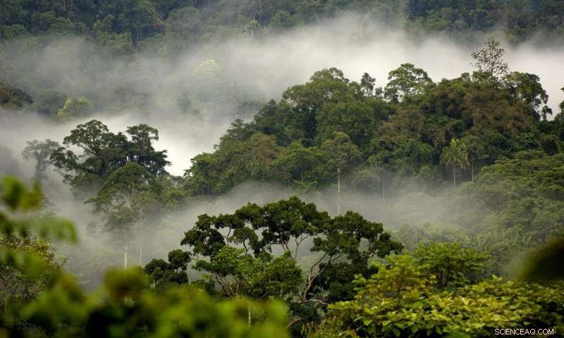 Achieving Zero Emissions: Nature, Climate, and the Role of Carbon Pricing