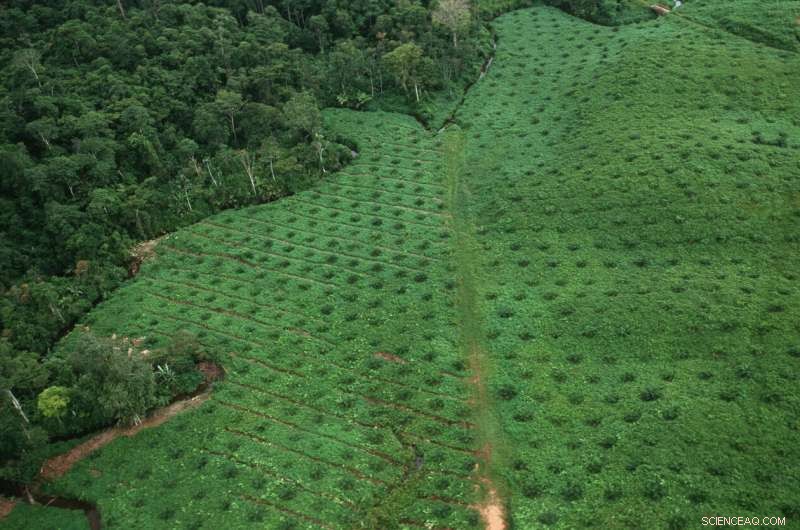 Achieving Zero Emissions: Nature, Climate, and the Role of Carbon Pricing