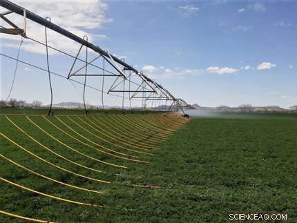 Effective Water Management Drives Increased Farm Profitability