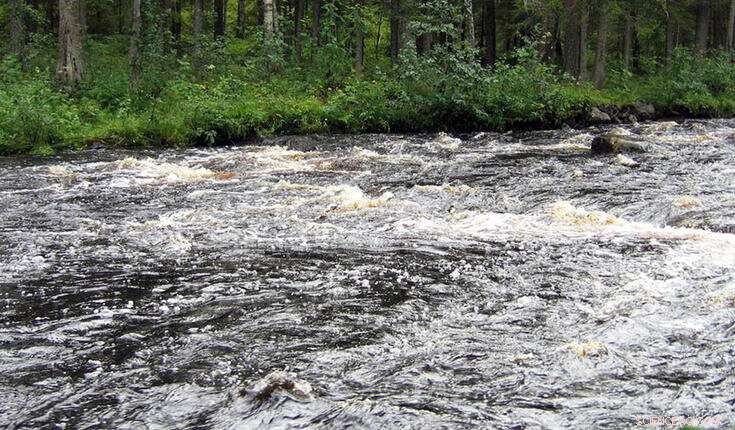 Finnish Rivers Accelerate Carbon Transport to Baltic Sea