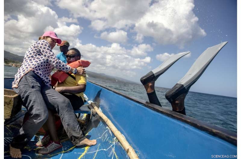 Rebuilding Jamaica s Coral Reefs: The Impact of Coral Gardeners