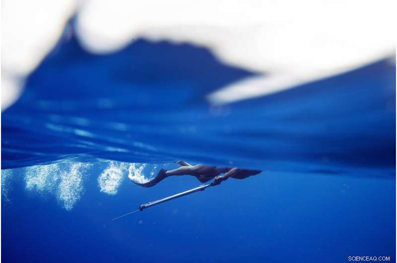 Rebuilding Jamaica s Coral Reefs: The Impact of Coral Gardeners