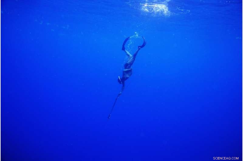 Rebuilding Jamaica s Coral Reefs: The Impact of Coral Gardeners