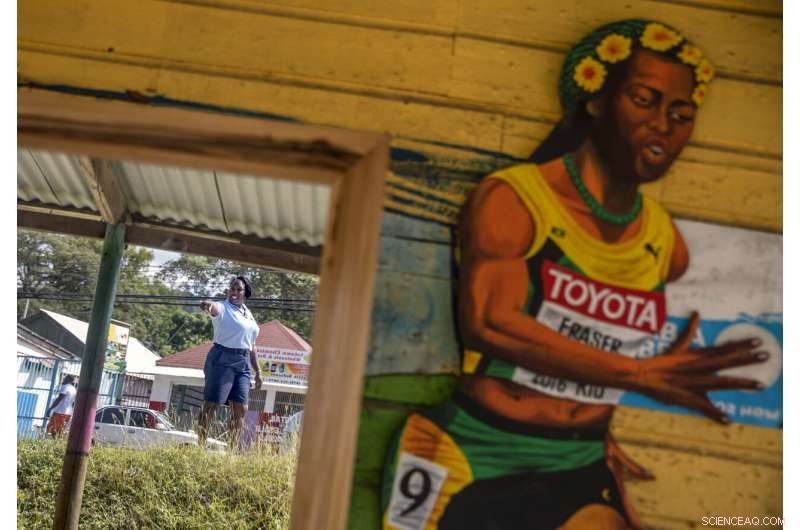 Rebuilding Jamaica s Coral Reefs: The Impact of Coral Gardeners