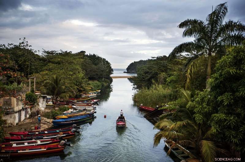 Rebuilding Jamaica s Coral Reefs: The Impact of Coral Gardeners