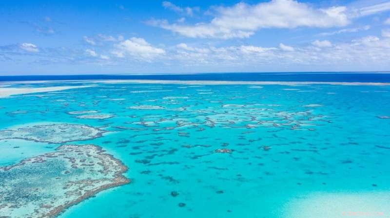 New Study Reveals How the Great Barrier Reef Adapts to Rapid Sea-Level Rise