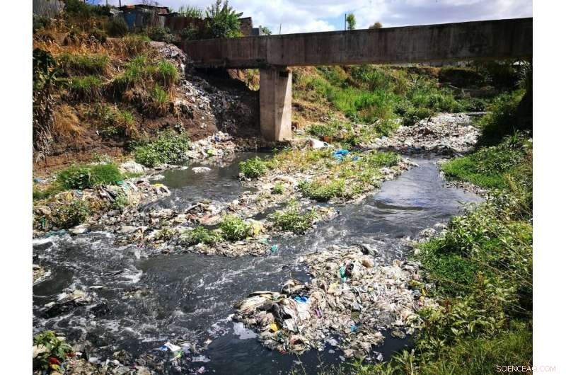 Urgent Call for Enhanced Sanitation and Pharmaceutical Waste Management to Protect Waterways