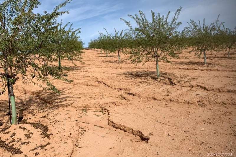 Uncovering the Drivers of Global Soil Erosion: ETH Zurich s Latest Findings