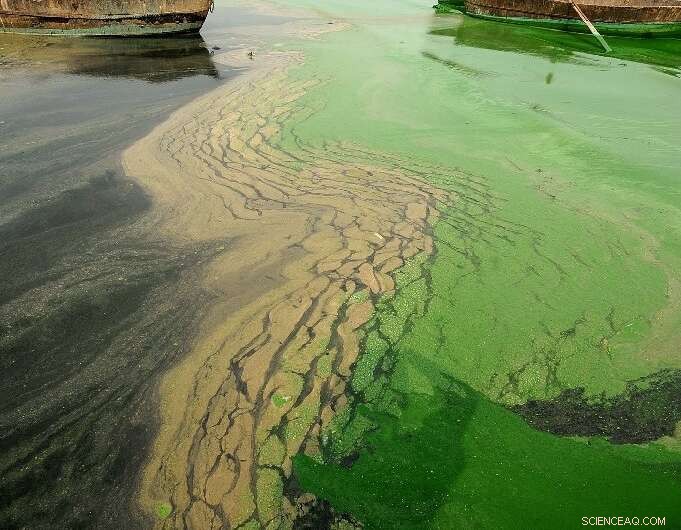 The Nutrient Crisis that Devastated Spain s Mar Menor, Europe s Largest Saltwater Lagoon