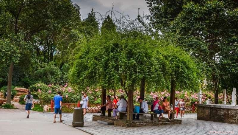 Micro-Dosing Nature: Boosting Health and Climate Resilience